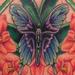 tattoo galleries/ - Butterfly and Gladiolus